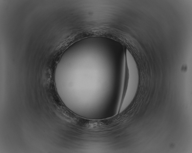 X0000090930752200708271044