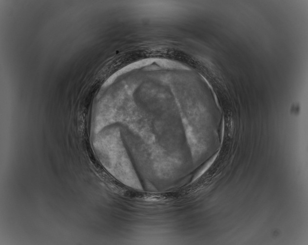 X0000090930753200708271044