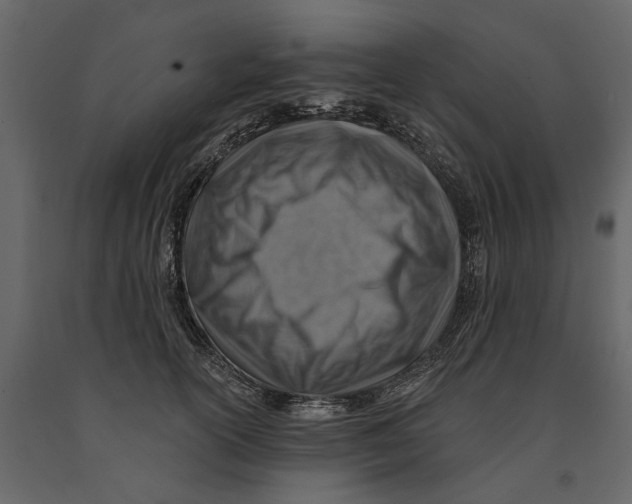 X0000090930754200708271044