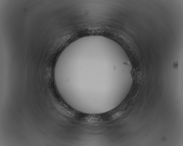 X0000090930756200708271044