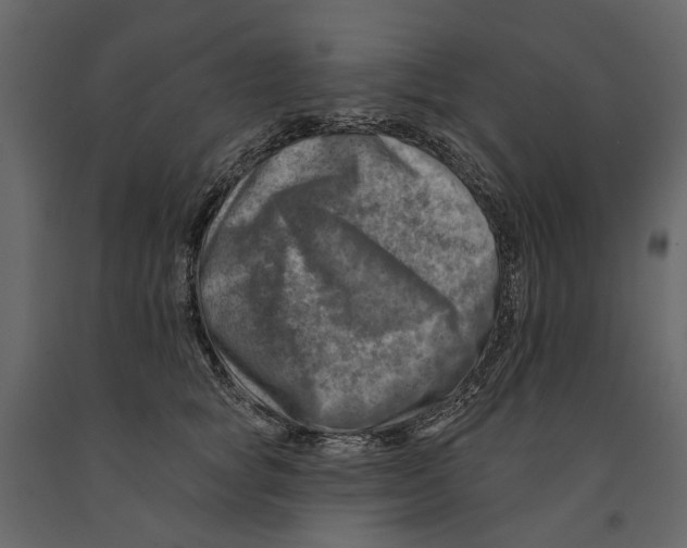 X0000090930757200708271044