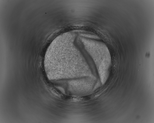 X0000090930758200708271044