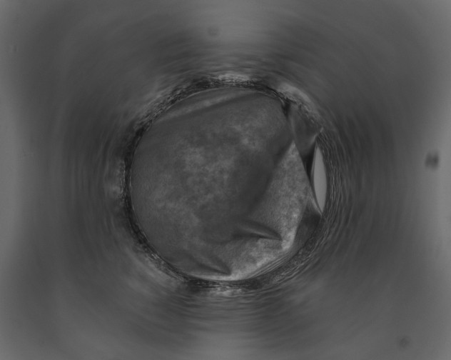 X0000090930760200708271044