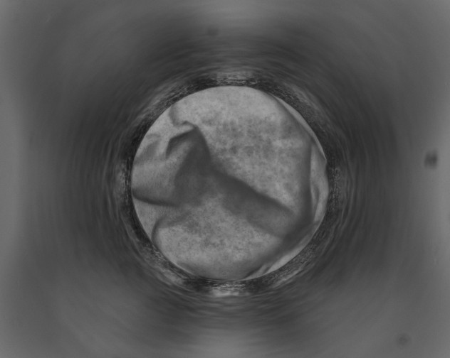 X0000090930761200708271044