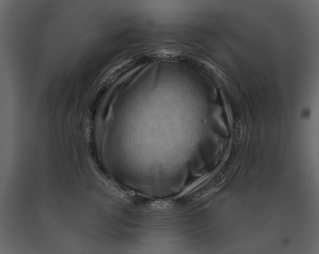 X0000090930762200708271044