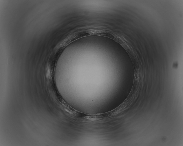 X0000090930763200708271044