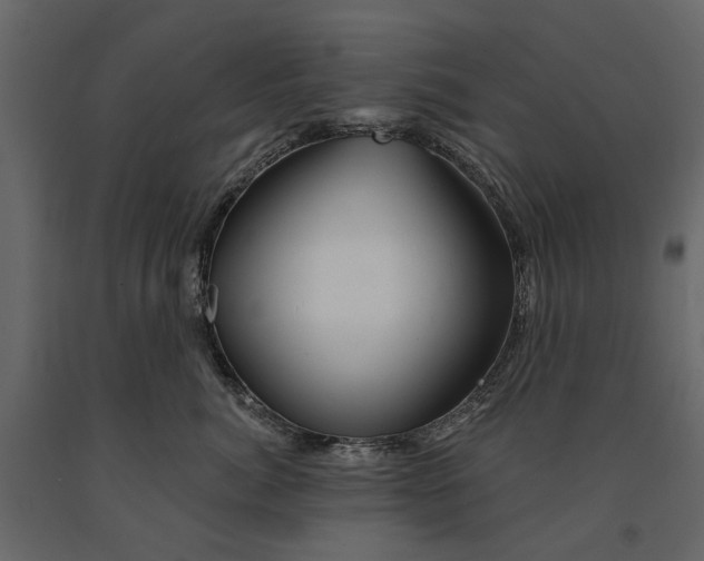 X0000090930764200708271044