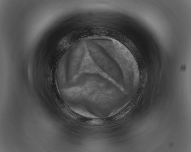 X0000090930765200708271044