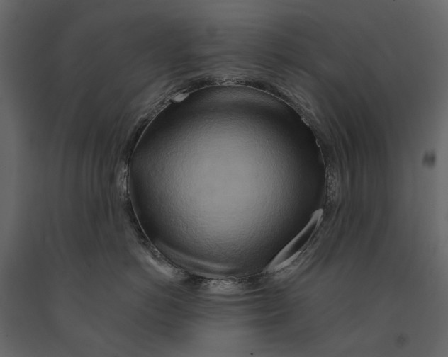 X0000090930766200708271044