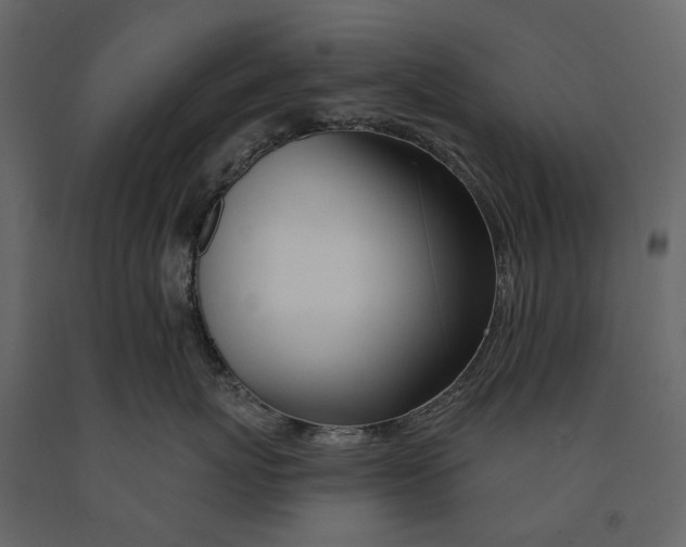 X0000090930767200708271044