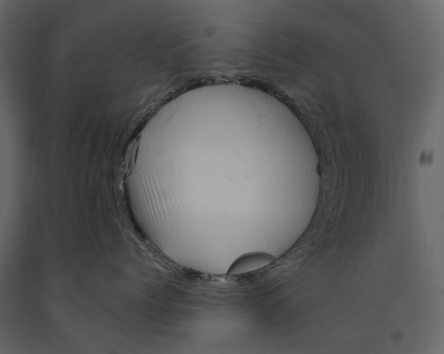 X0000090930768200708271044