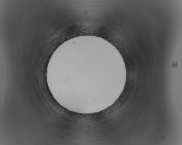 X0000090930769200708271044