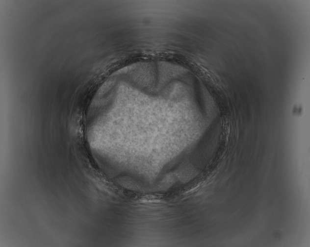 X0000090930770200708271044