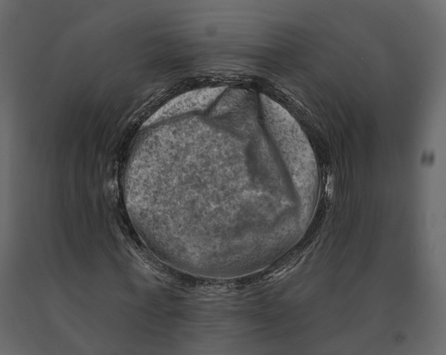 X0000090930771200708271044