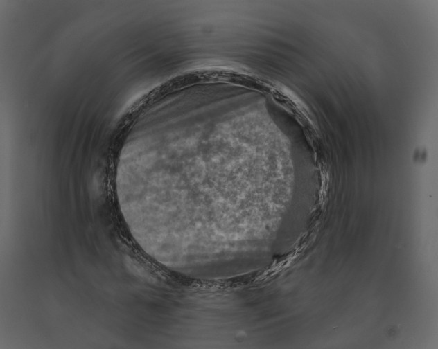 X0000090930775200708271044