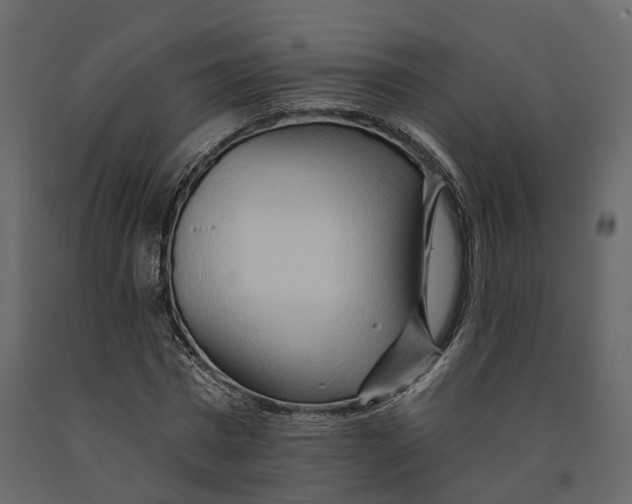 X0000090930777200708271044