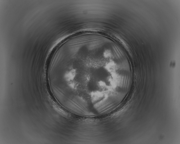 X0000090930779200708271044