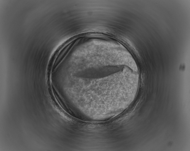 X0000090930780200708271044