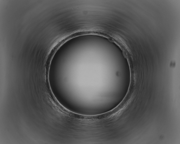 X0000090930781200708271044