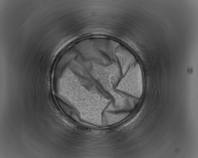 X0000090930782200708271043