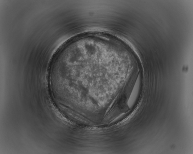 X0000090930783200708271043