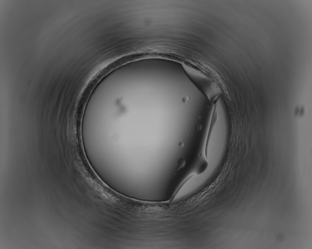 X0000090930784200708271043