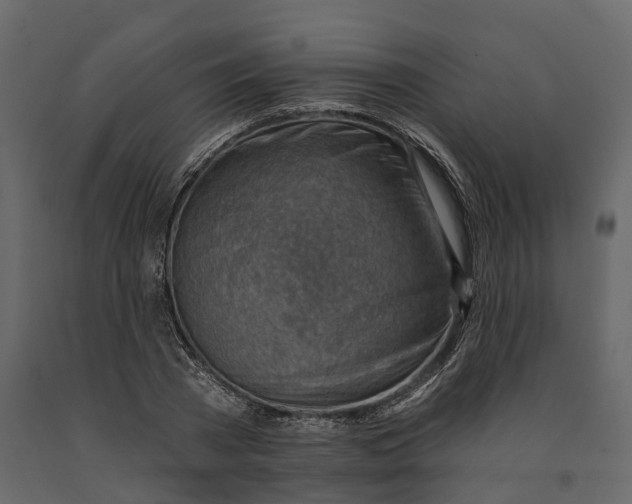 X0000090930785200708271043