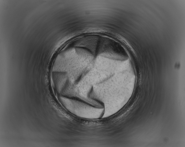 X0000090930786200708271043