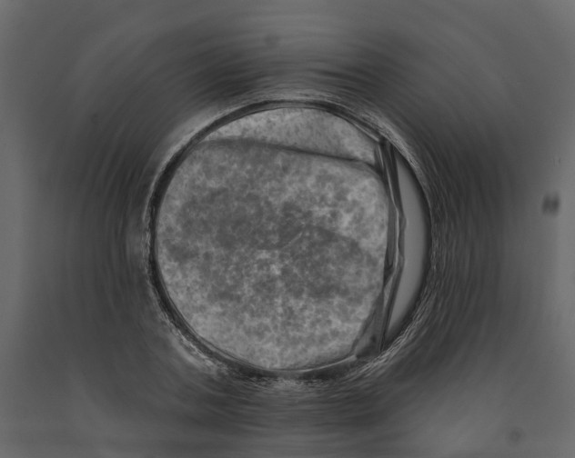 X0000090930787200708271043