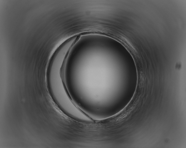 X0000090930788200708271043