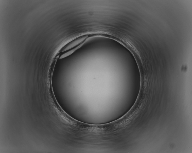 X0000090930789200708271043