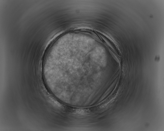 X0000090930790200708271043