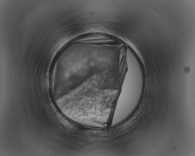 X0000090930791200708271043