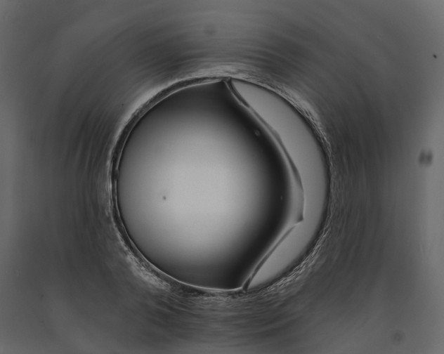 X0000090930792200708271043