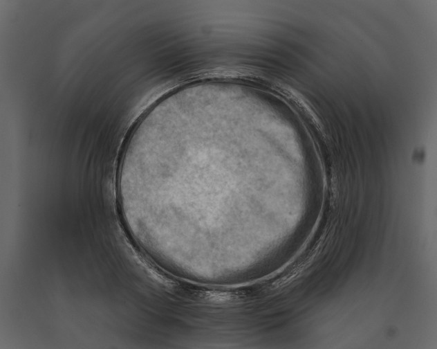 X0000090930794200708271043