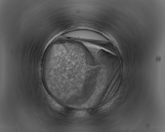 X0000090930798200708271043