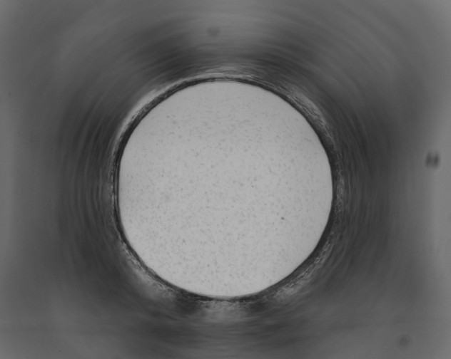 X0000090930800200708271043