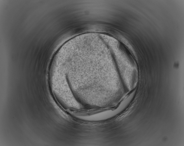 X0000090930803200708271043