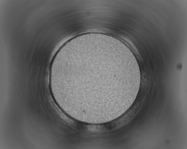 X0000090930804200708271043