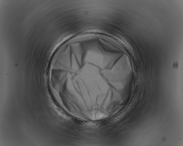 X0000090930806200708271043