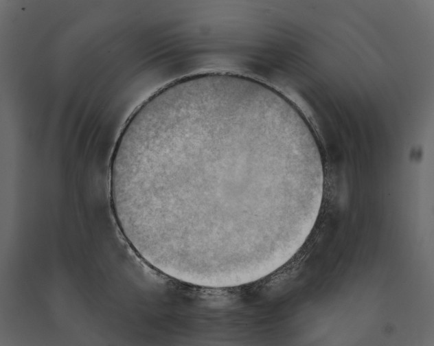 X0000090930807200708271043