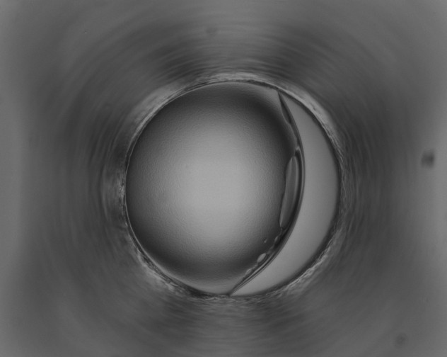 X0000090930809200708271043