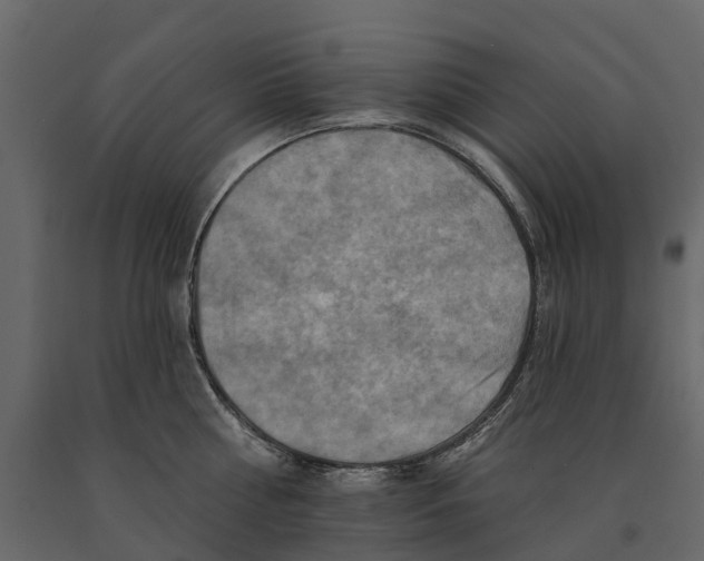 X0000090930810200708271043