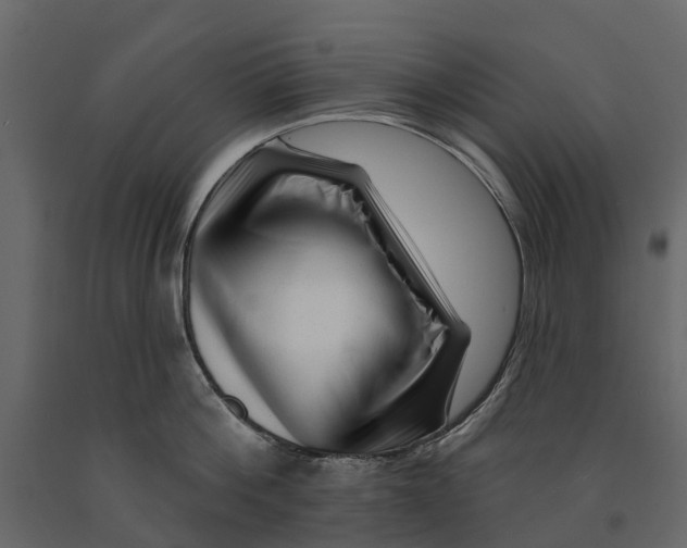 X0000090930812200708271043