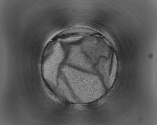 X0000090930814200708271043