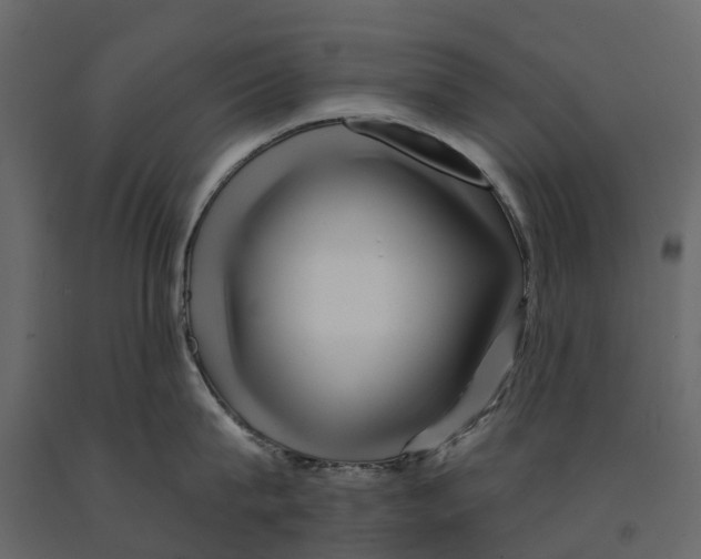 X0000090930815200708271043