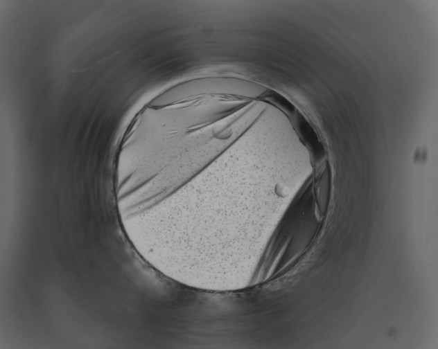 X0000090930816200708271043