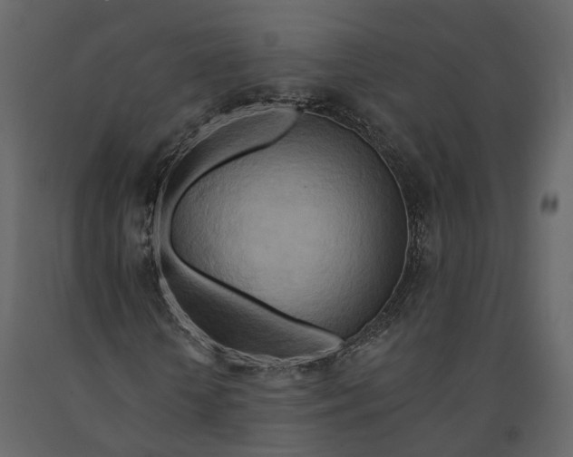 X0000090930818200708271042