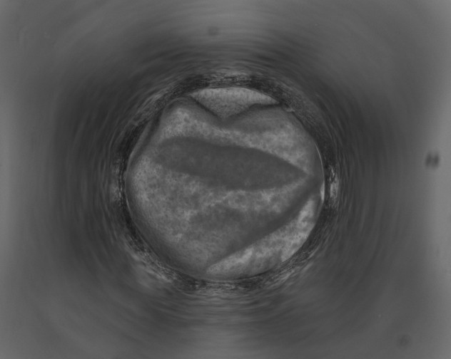 X0000090930819200708271042