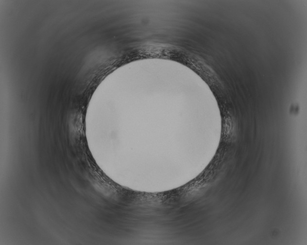 X0000090930820200708271043